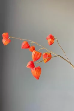 Pip Studio Kunstliche Blumen|Pip Kunstliche Blumen Fall Beauty