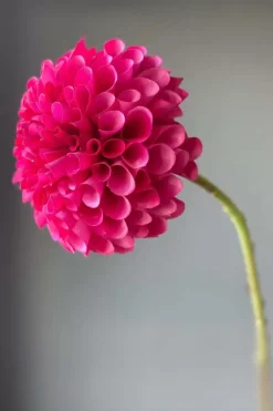 Pip Studio Kunstliche Blumen|Pip Kunstliche Blumen Sweet Symphony