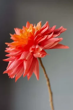 Pip Studio Kunstliche Blumen|Pip Kunstliche Blumen Sweet Symphony