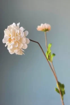 Pip Studio Kunstliche Blumen|Pip Kunstliche Blumen Vanilla Bloom