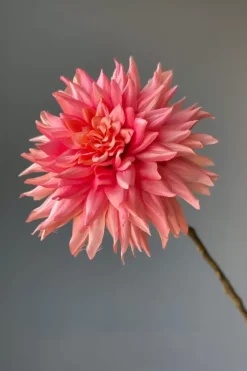 Pip Studio Kunstliche Blumen|Pip Kunstliche Blumen Vanilla Bloom